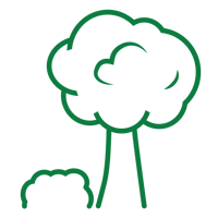 tree and shrub care icon square green-01