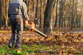 leaf blower