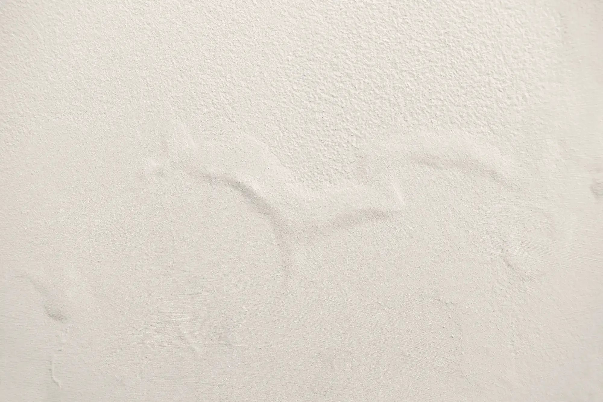 wall with paint bubbles on it termite damage