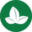 weed control icon green