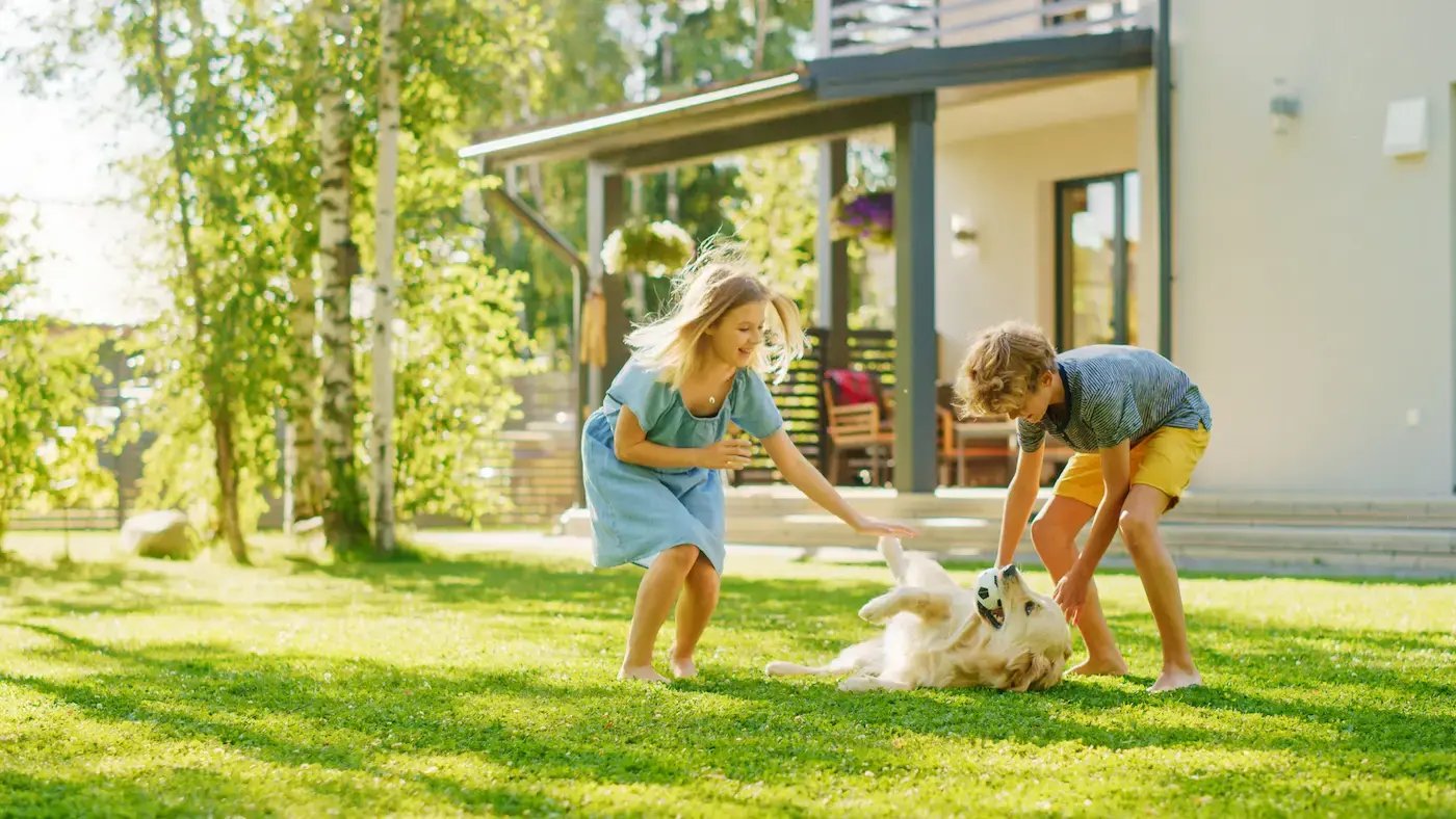young kids playing with dog on lawn