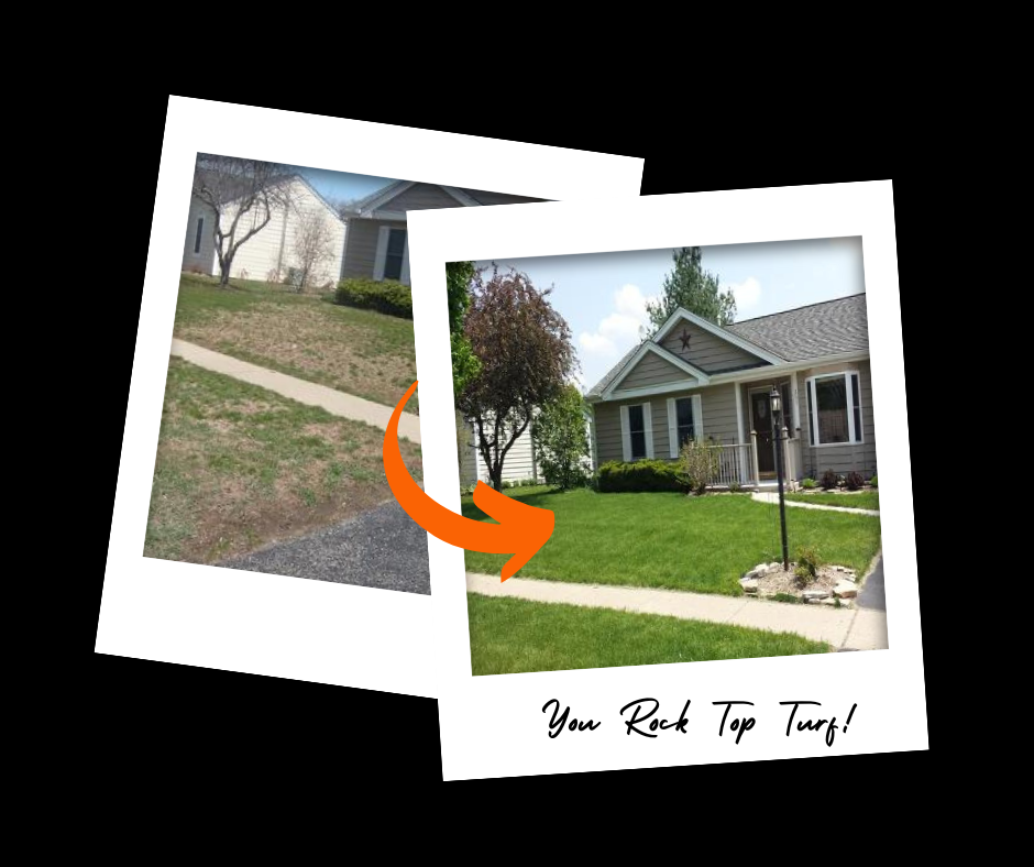 top turf lawn before and after polaroid graphic 3