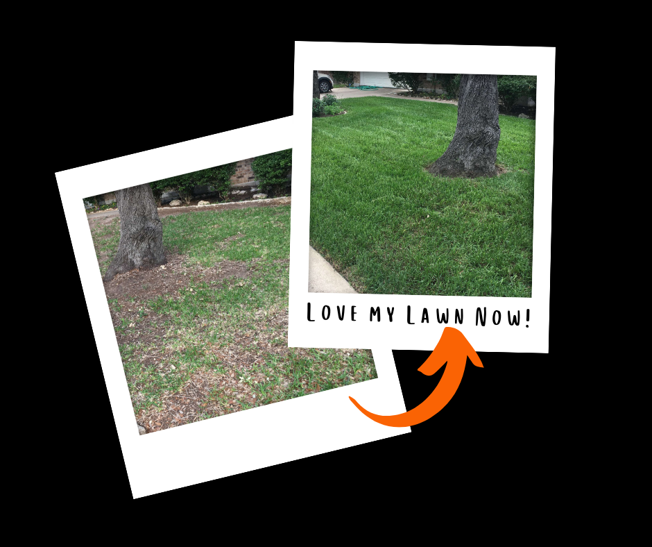 top turf lawn before and after polaroid graphic 2