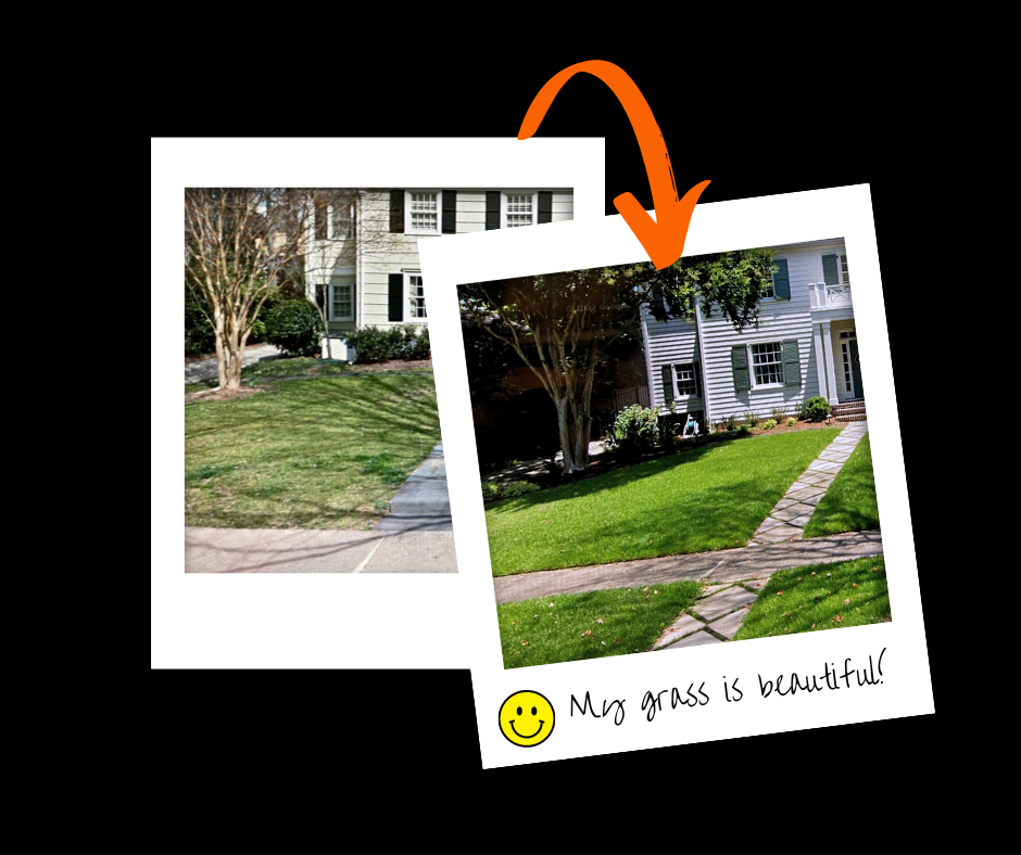 top turf lawn before and after polaroid graphic 4