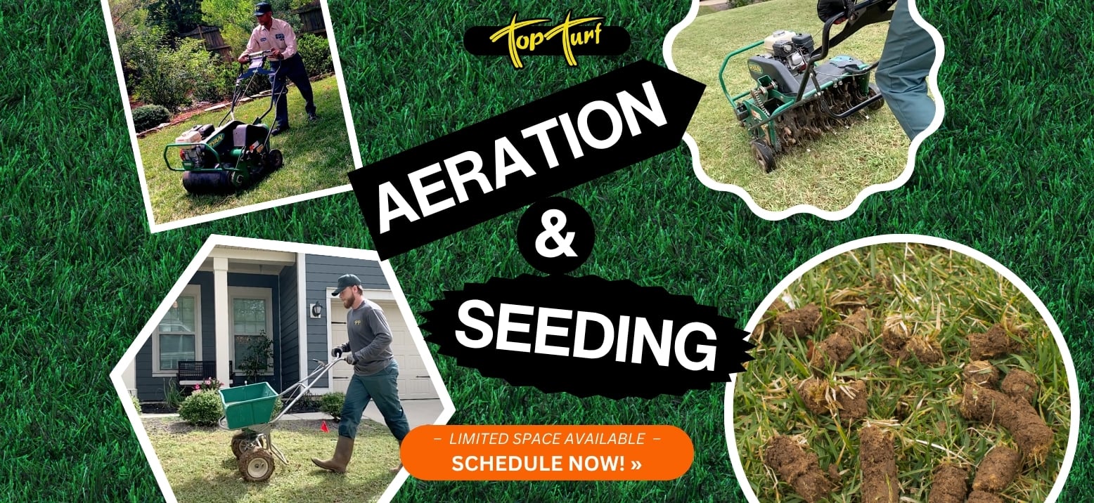 top turf aeration and seeding banner