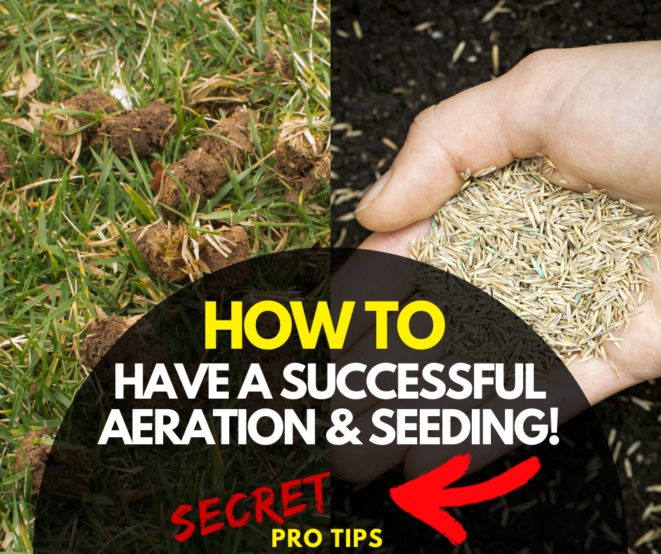 Aeration & Seeding Aftercare - What's next?