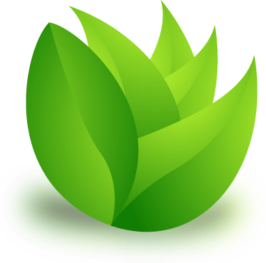 Grass