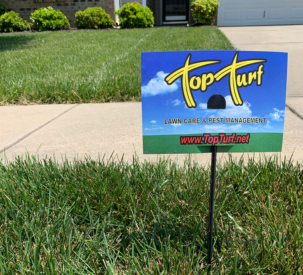 What Happens After Your Lawn Treatment? Here’s What to Expect