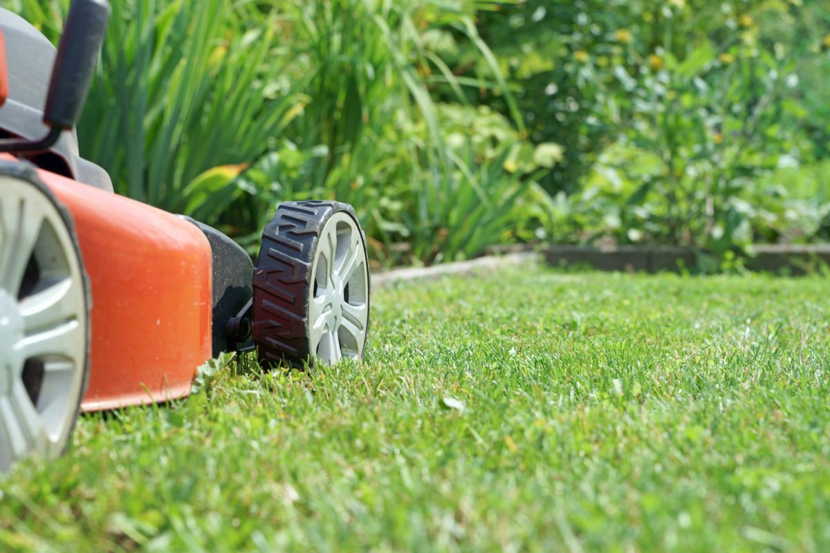 How to Mow Your Lawn Correctly