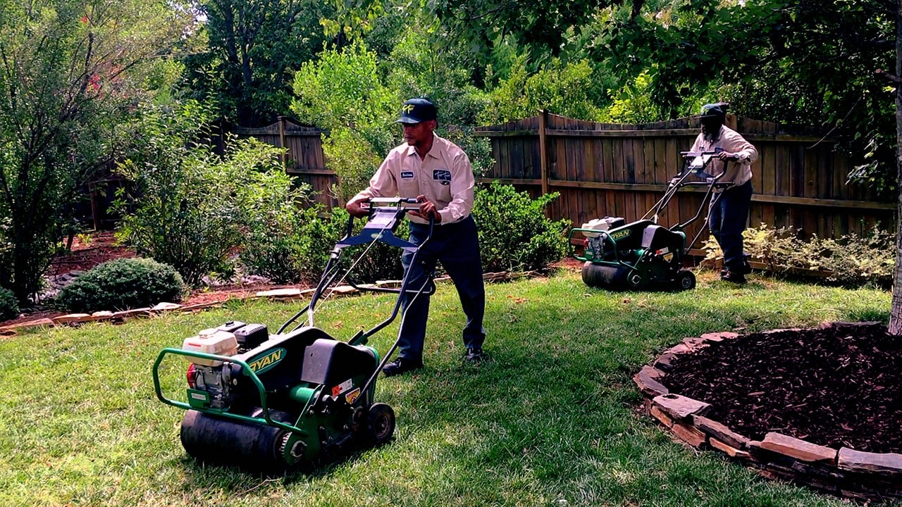 Revitalize Your Lawn: The Science behind Aeration & Seeding