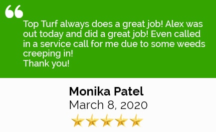 Review Patel