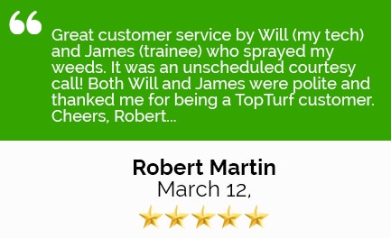Review Robert