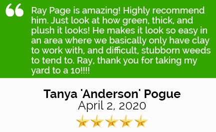 Review Tonya