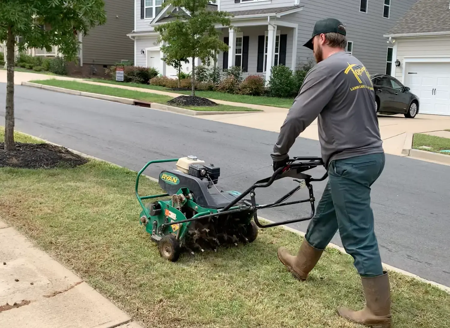 Why Your Fescue Lawn is About to Wake Up (And How to Get Ready Now)