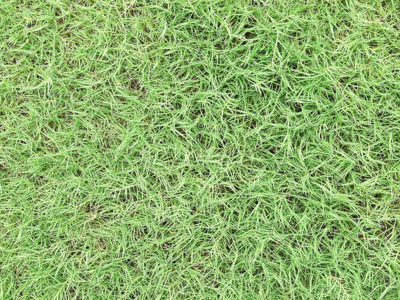 Core Aerating Your Bermuda Lawn: The Benefits and Necessities