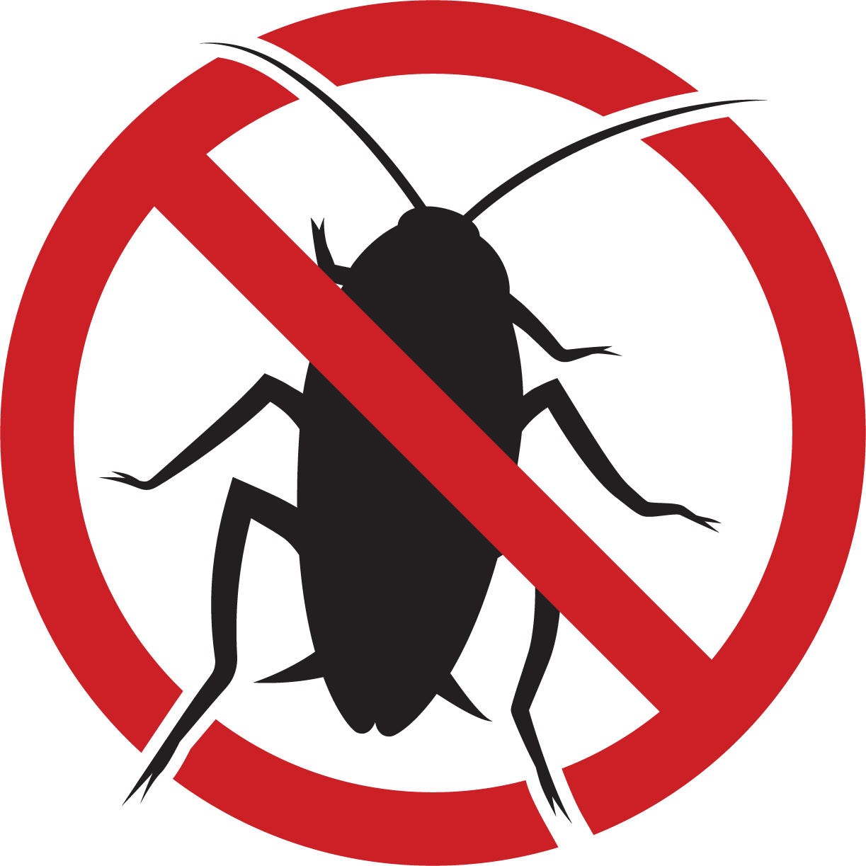 cockroach silhouette x final-1