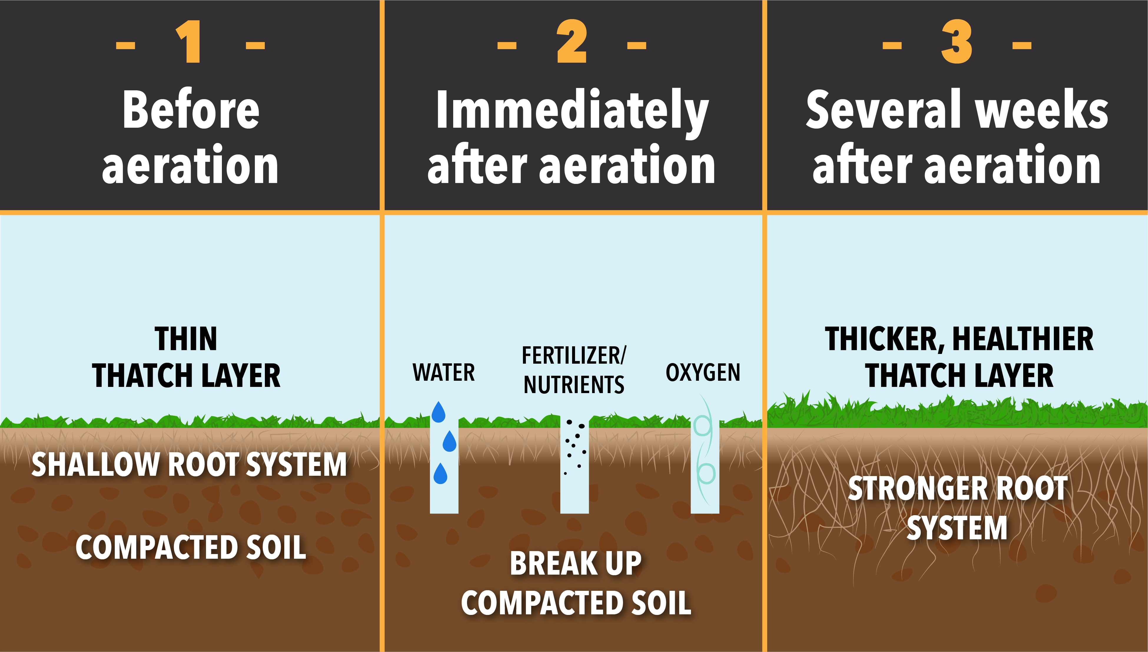 core aeration infographic orange 1