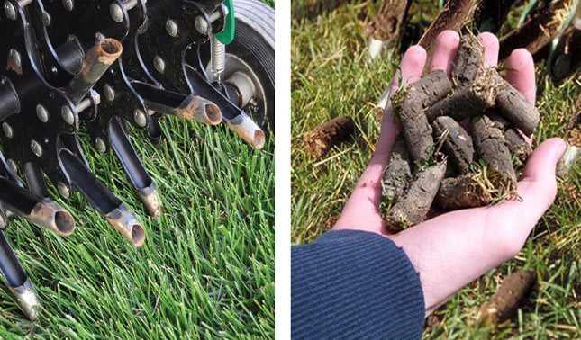 Core Aeration vs. Aeration and Seeding: Which is Best for Your Lawn?