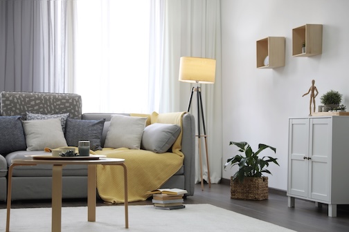 How Fleas Get Into Your Home Even Without Pets