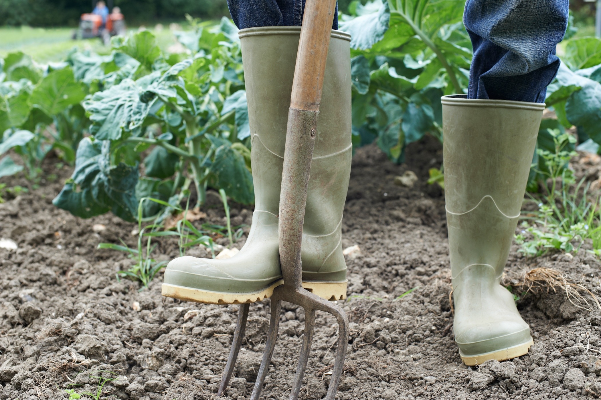 Voted #1 All Over Winner-Best Gardening Tool