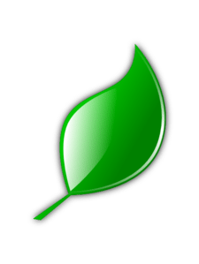 Leaf