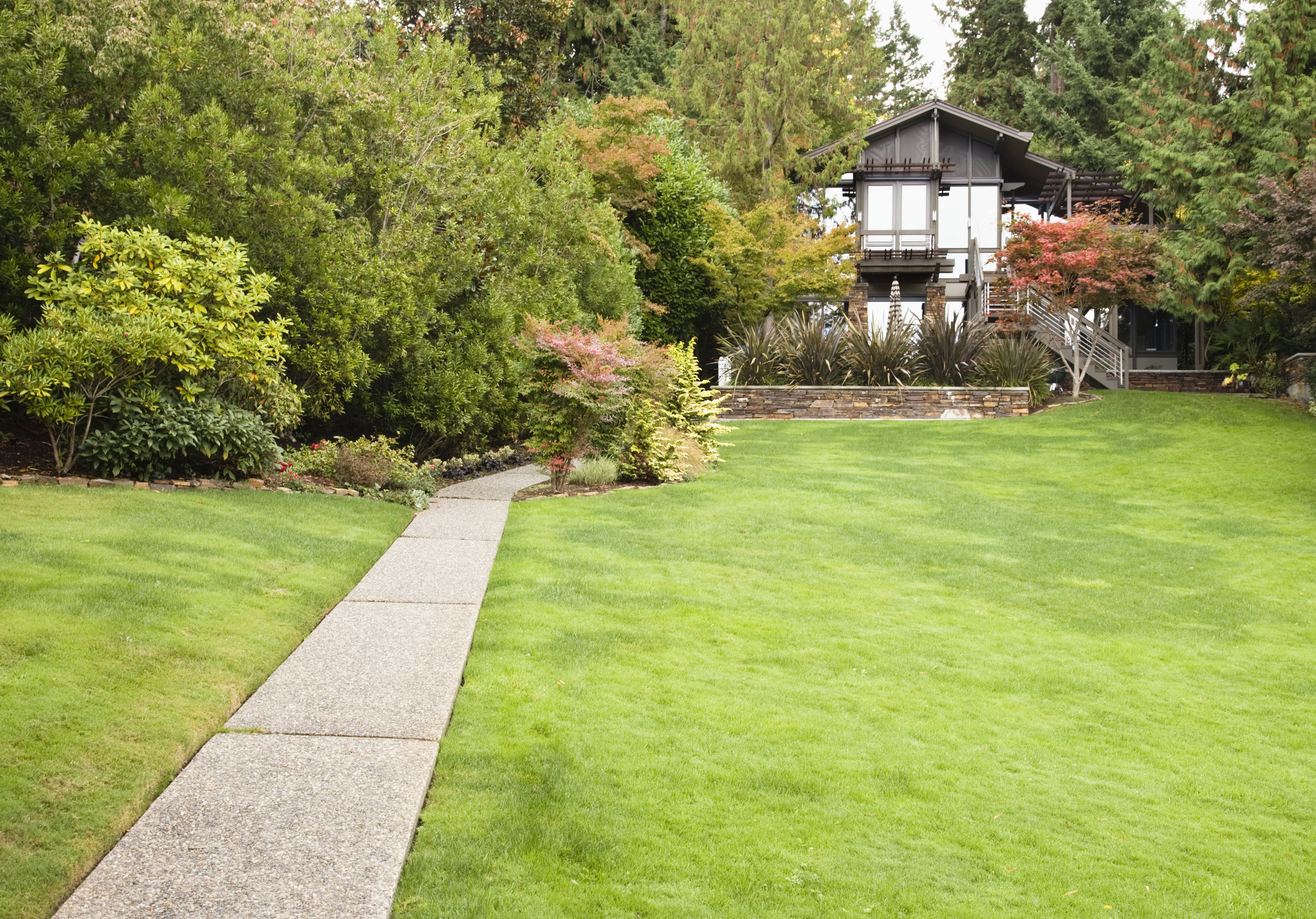Lawn Fertilization Guide: FAQs Answered by Local Pros