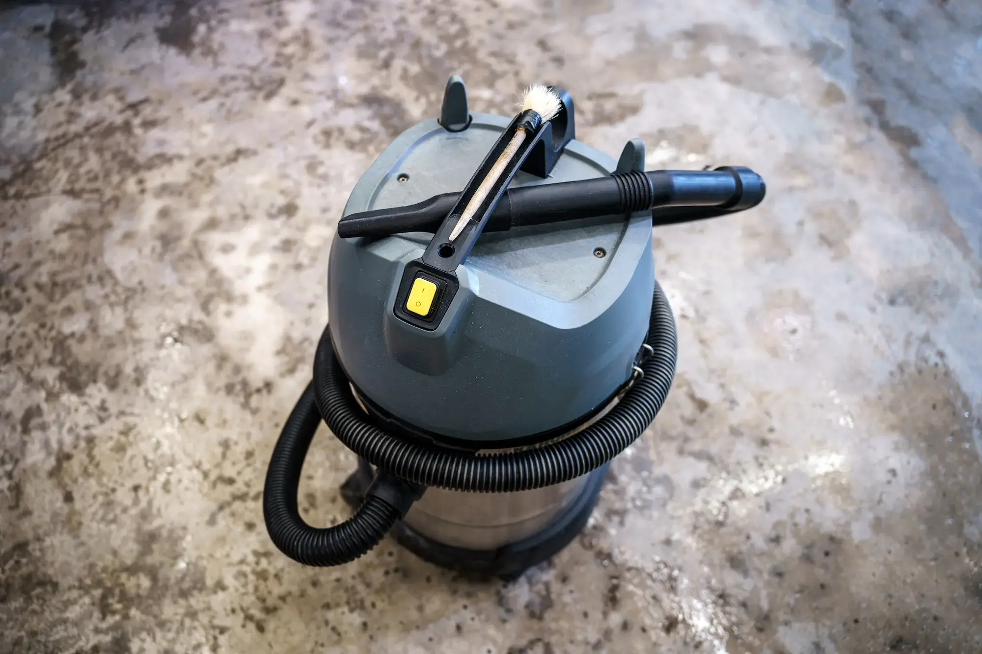 vacuum and decontamination after wildlife removal