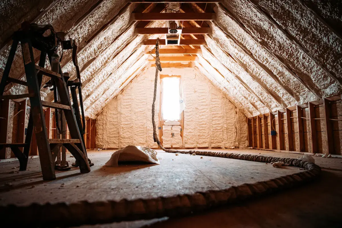 Attic insulation replacement after wildlife removal