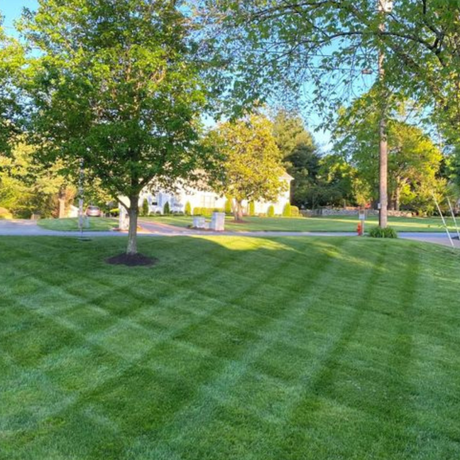 How Low Should You Go? Your Southern Lawn's Ideal Mowing Height for Summer
