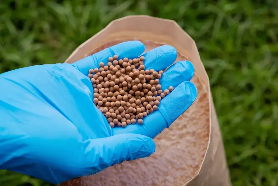 lime fertilizer top turf