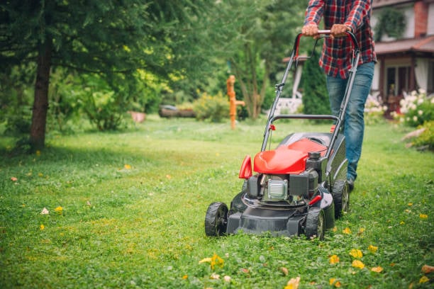 Mow-tastic Makeover: Get Sharp with Your Blade Game!