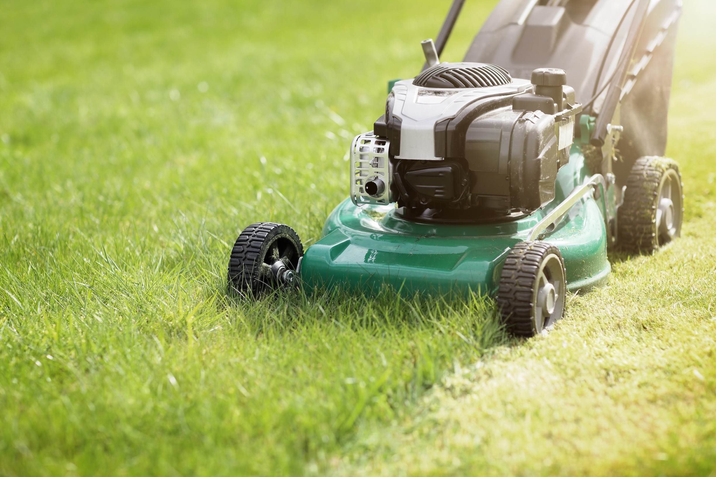 Mow-mentum: Mastering Your Summer Lawn Care Routine