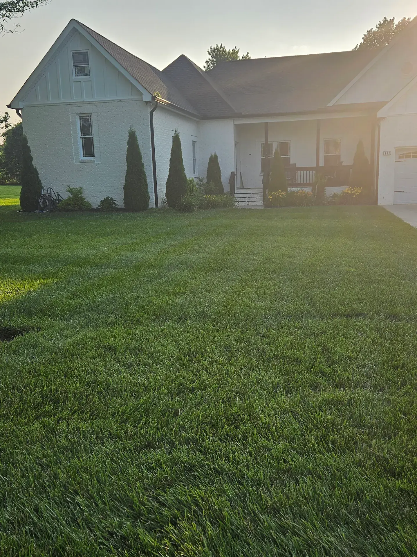 The Nashville Homeowner's Guide to Lawn Fertilization and Weed Control