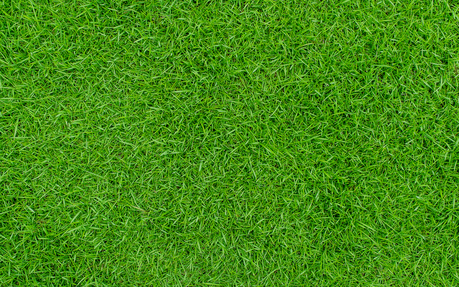 nice grass top turf - ss-2