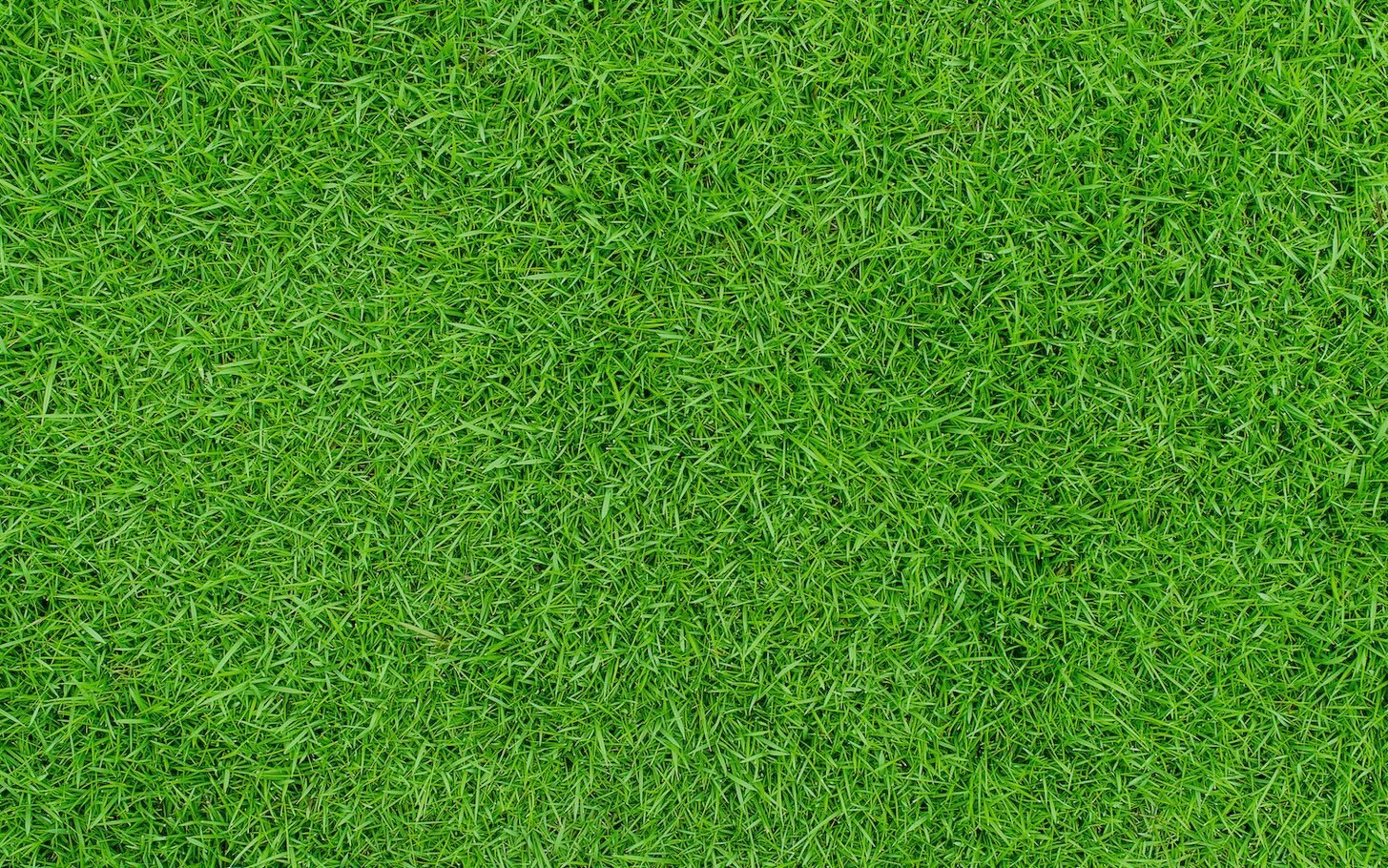 nice grass top turf - ss-2