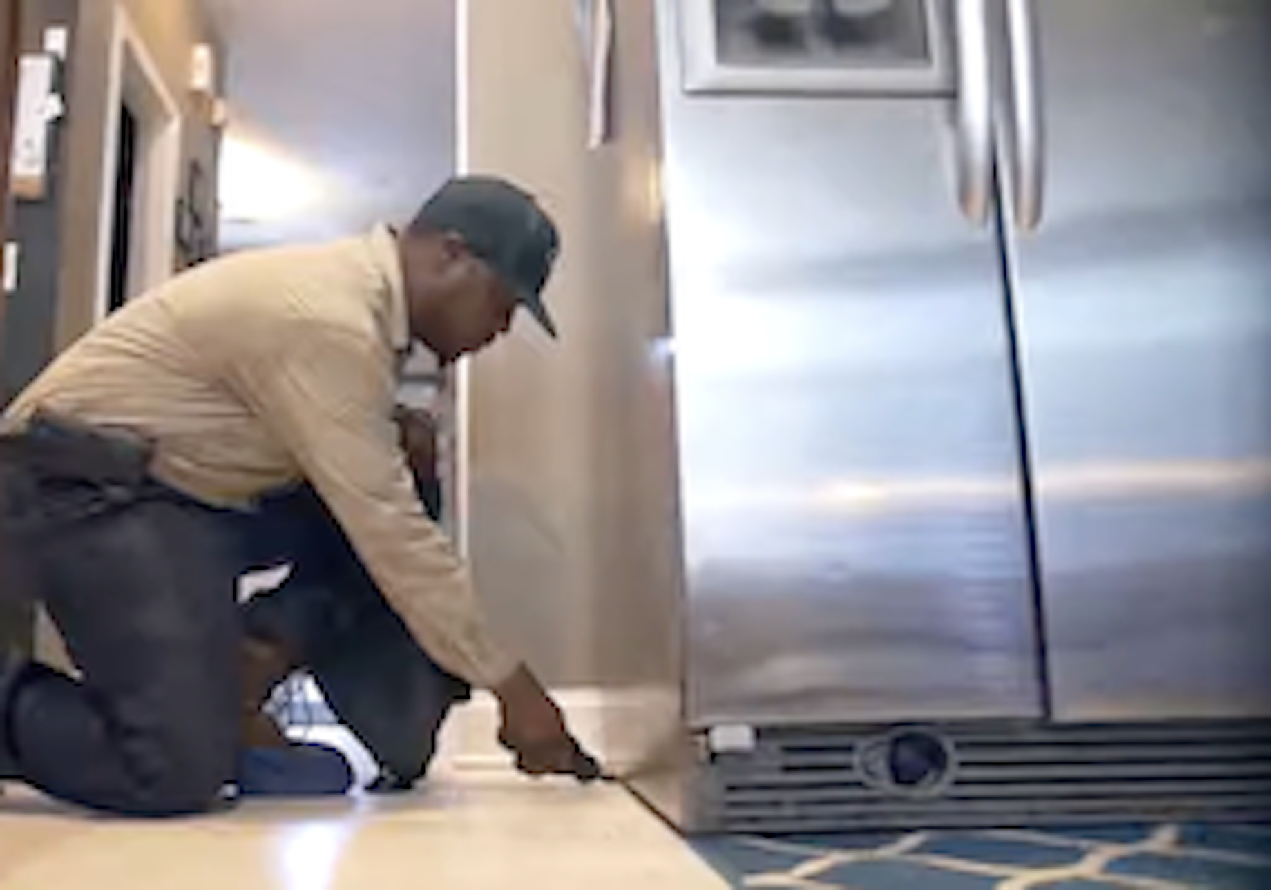 pest control under fridge demario - tt crop-1