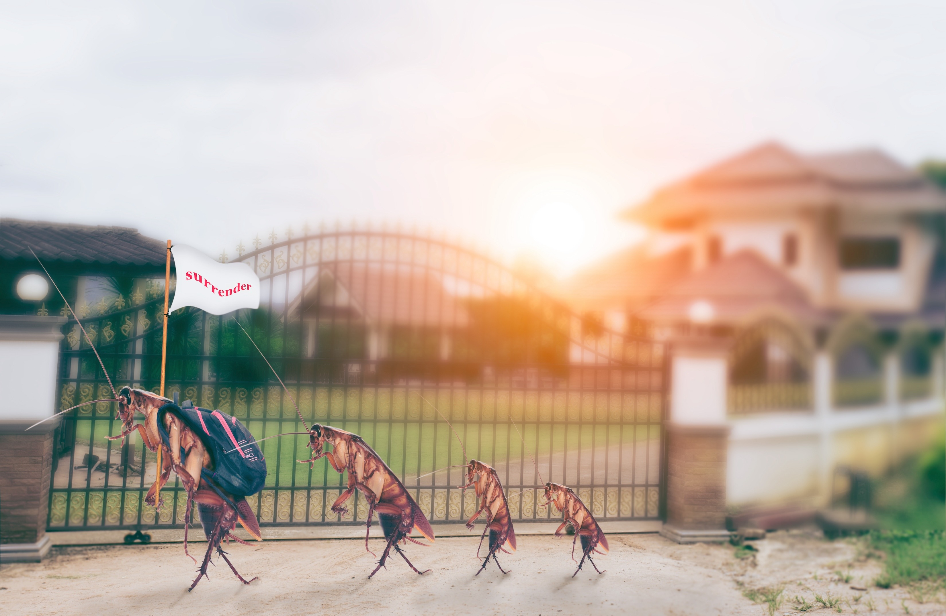 GET 'EM OUT! KEEP 'EM OUT! 7 Ways Roaches Infest Your Home