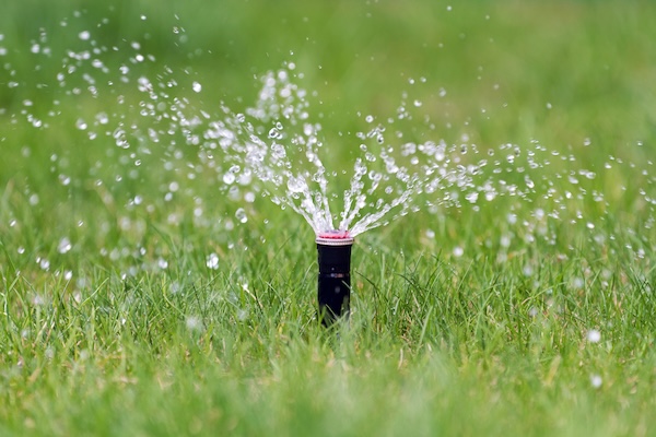 Spring Sprinkler Startup: Your Zone-by-Zone Checklist for a Damage-Free Irrigation Season