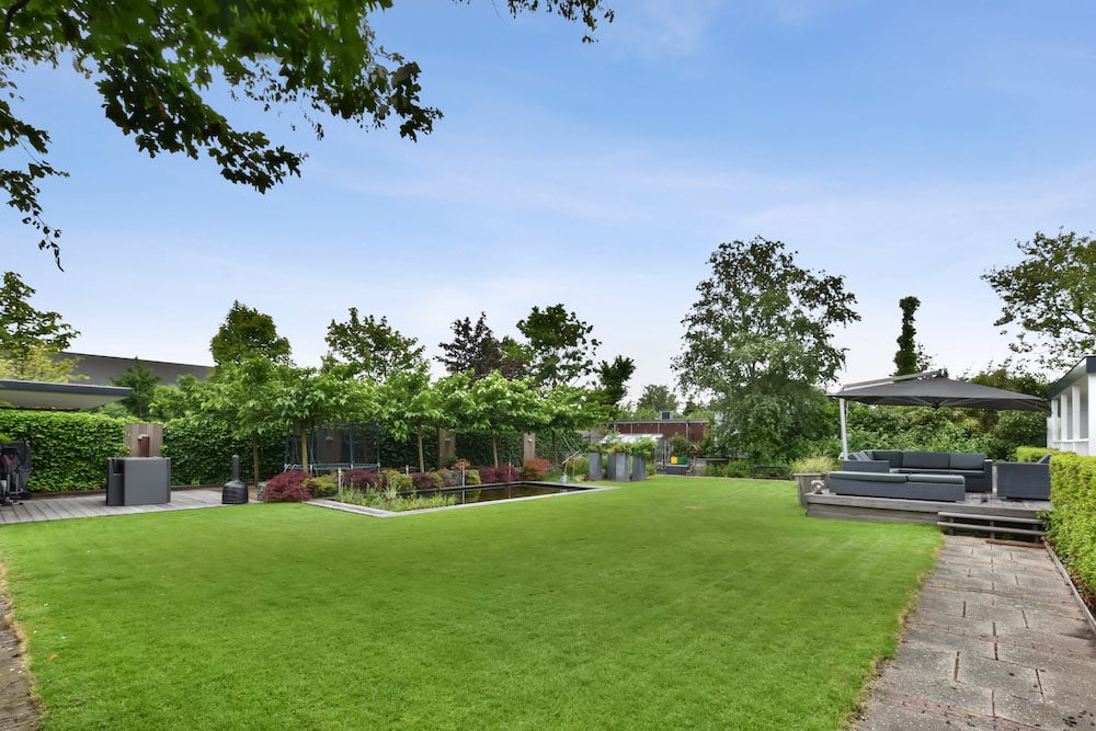 5 Essential Lawn Care Tips for a Lush Spring Yard
