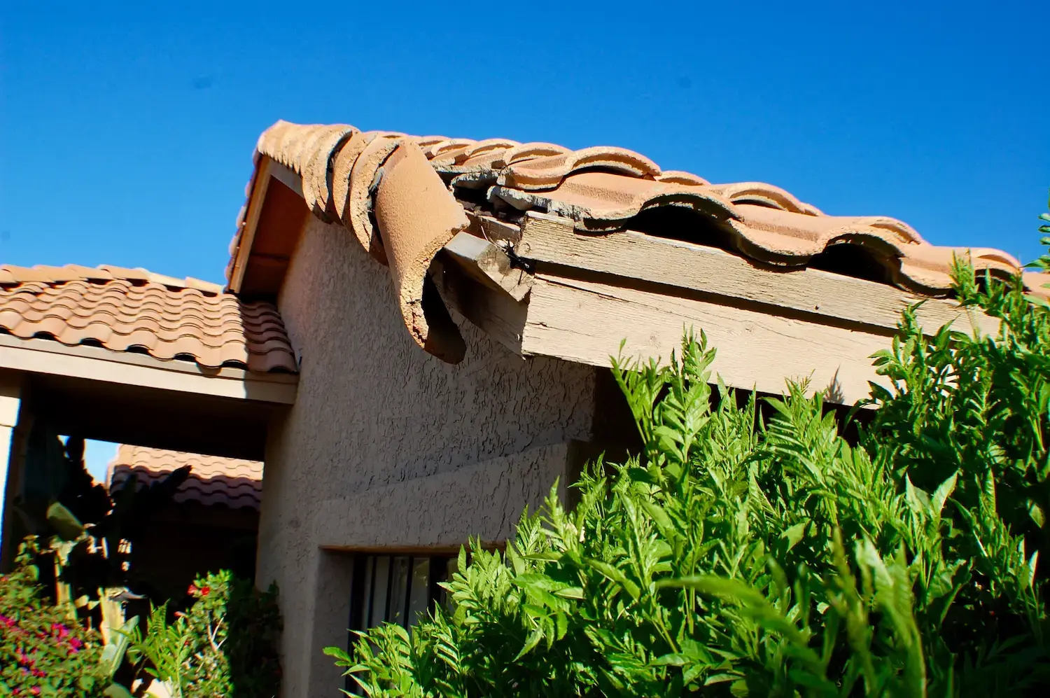 Roof entry point sealed during wildlife exclusion service