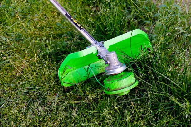 Lawn Care 101: Essential Weed Whacker Maintenance